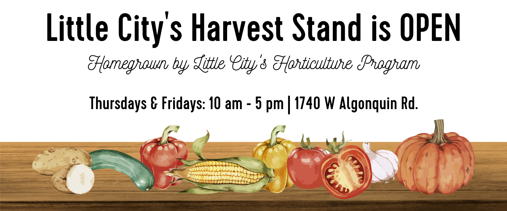Little City's Harvest Stand is OPEN  Thursdays & Fridays from 10am to 5pm at 1740 W Algonquin Rd.